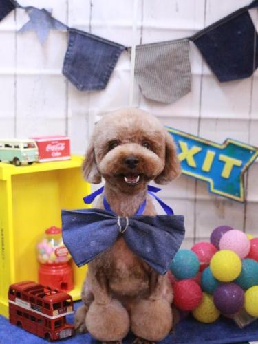 20230428くぅくん